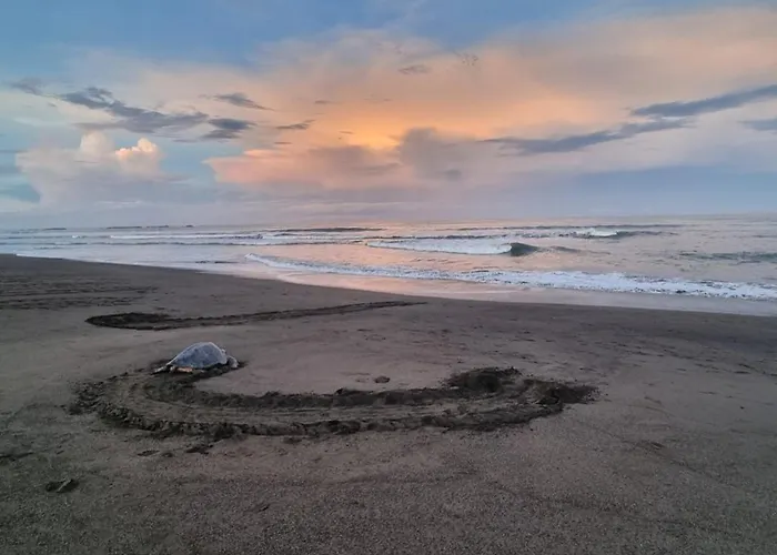 Casa De Playa Paraiso Terrenal Holiday home San Juanillo